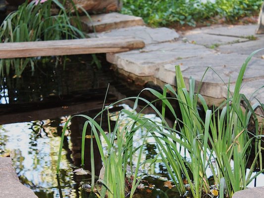 Water Feature